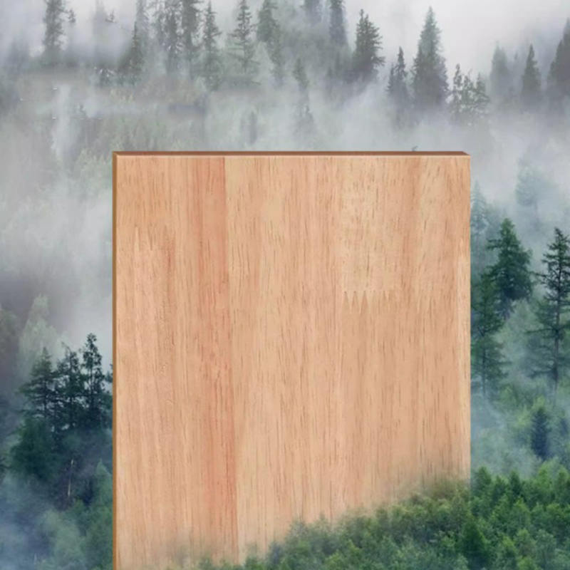 Cruth muisiriún condo túr adhmaid fráma dreapadóireachta crann cat soladach le dréimire Cruth muisiriún condo túr adhmaid fráma dreapadóireachta crann cat soladach le dréimire