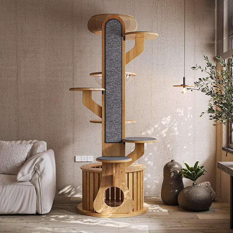 Fráma Dreapadóireachta Adhmaid Cactus cruth cactus crann cat soladach le capsule spáis Fráma Dreapadóireachta Adhmaid Cactus cruth cactus crann cat soladach le capsule spáis