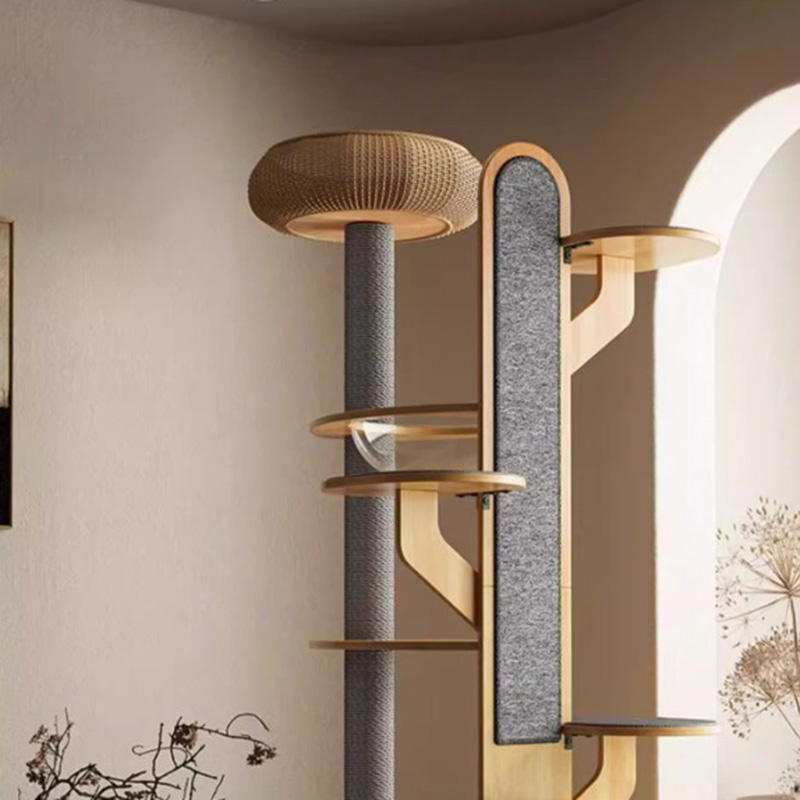 Fráma Dreapadóireachta Adhmaid Cactus cruth cactus crann cat soladach le capsule spáis Fráma Dreapadóireachta Adhmaid Cactus cruth cactus crann cat soladach le capsule spáis