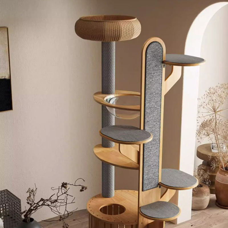 Fráma Dreapadóireachta Adhmaid Cactus cruth cactus crann cat soladach le capsule spáis Fráma Dreapadóireachta Adhmaid Cactus cruth cactus crann cat soladach le capsule spáis