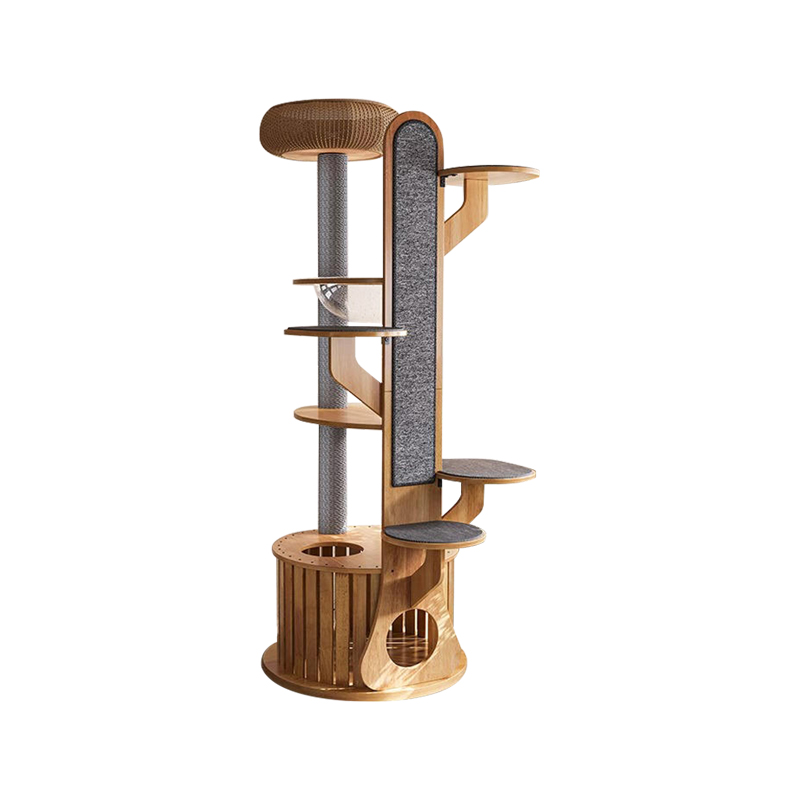 Fráma Dreapadóireachta Adhmaid Cactus cruth cactus crann cat soladach le capsule spáis