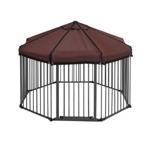 Cad is Cage Madra Mór ann? Cad is Cage Madra Mór ann?