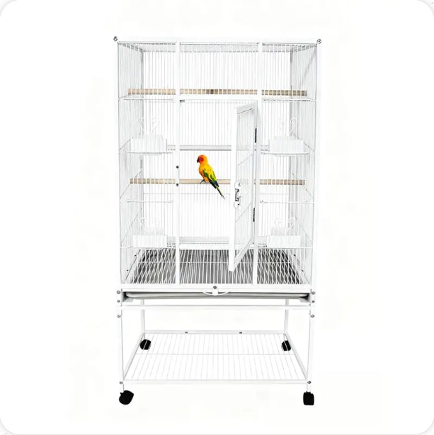 An fearr le héin cages ard nó leathan?